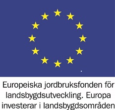 EUflaggasocfond