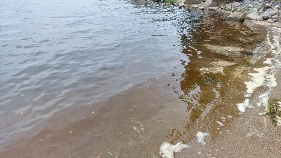 Strand med vatten grumligt av giftalger